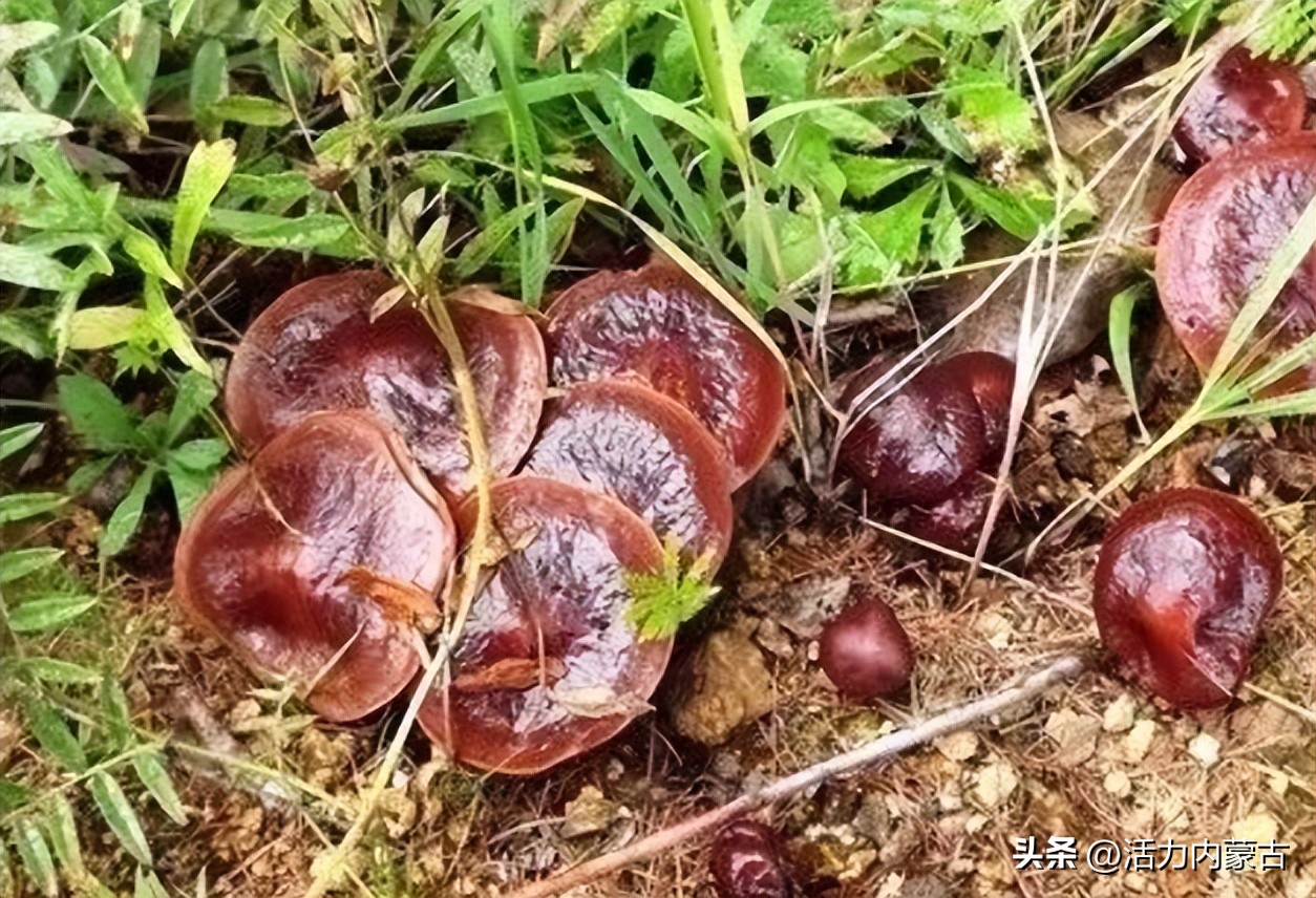 哪里开始供暖了,现在哪里供暖了