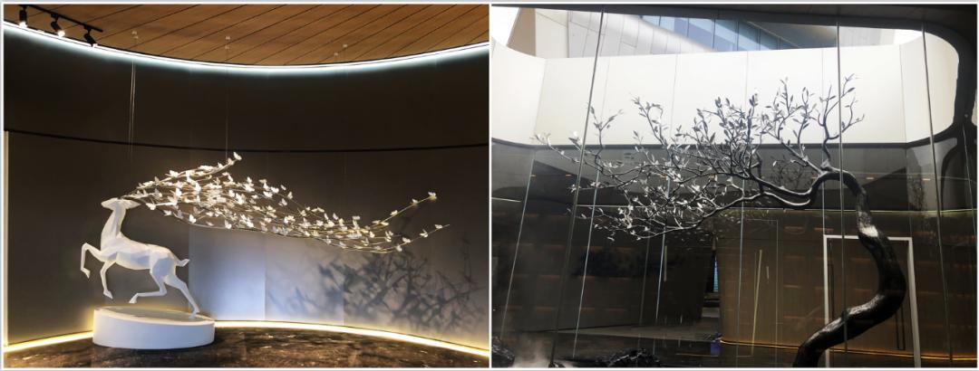 体育宇宙篇,体育宇宙