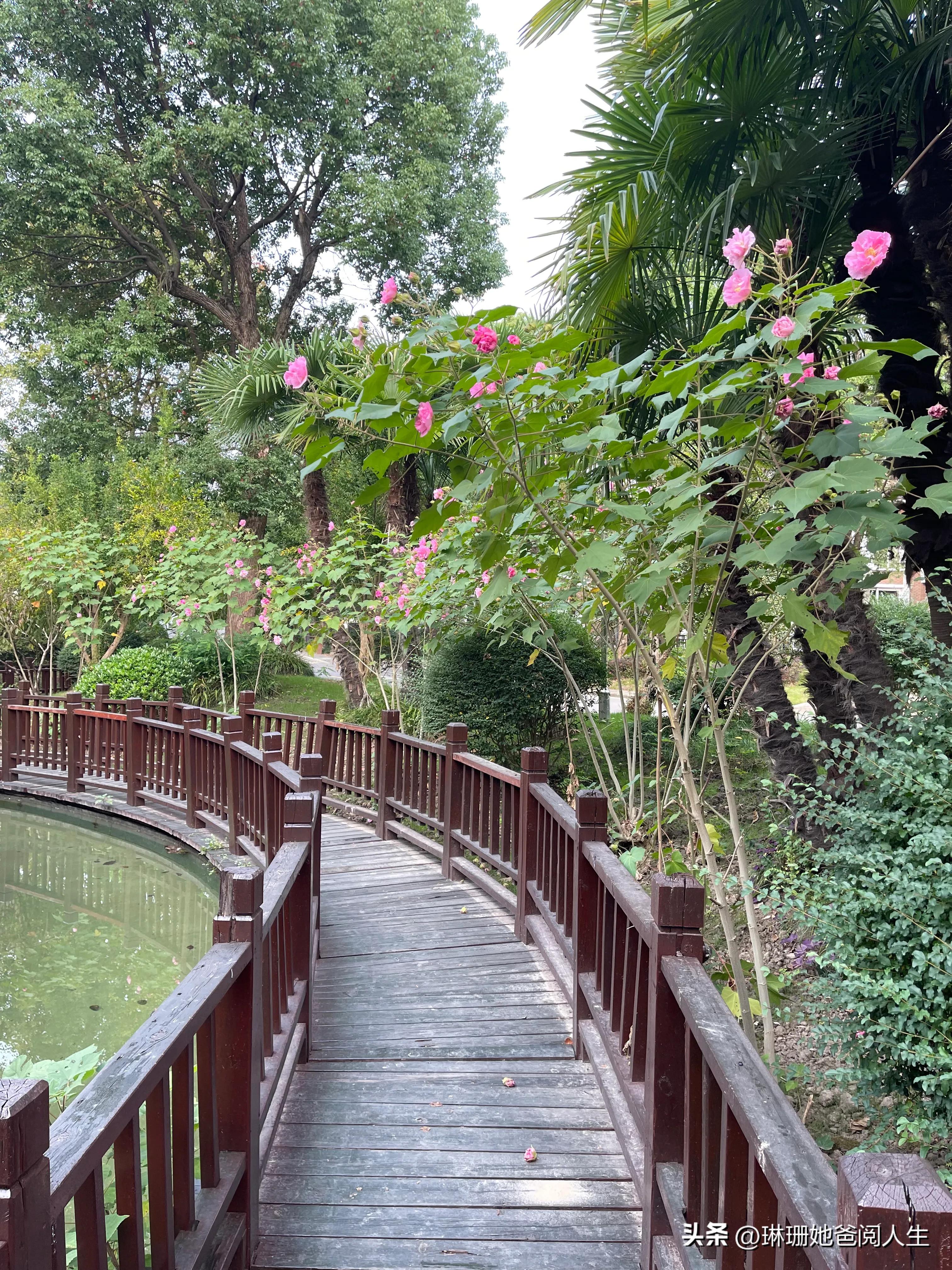 佘山索菲特东方汇,东方佘山索菲亚