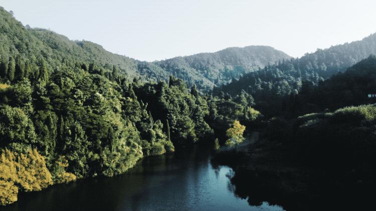 裸辞女教师云南,辞职女教师隐居山村多年