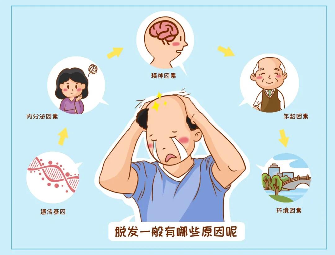 头发掉得太严重怎么拯救发型,头发掉得太严重怎么食疗