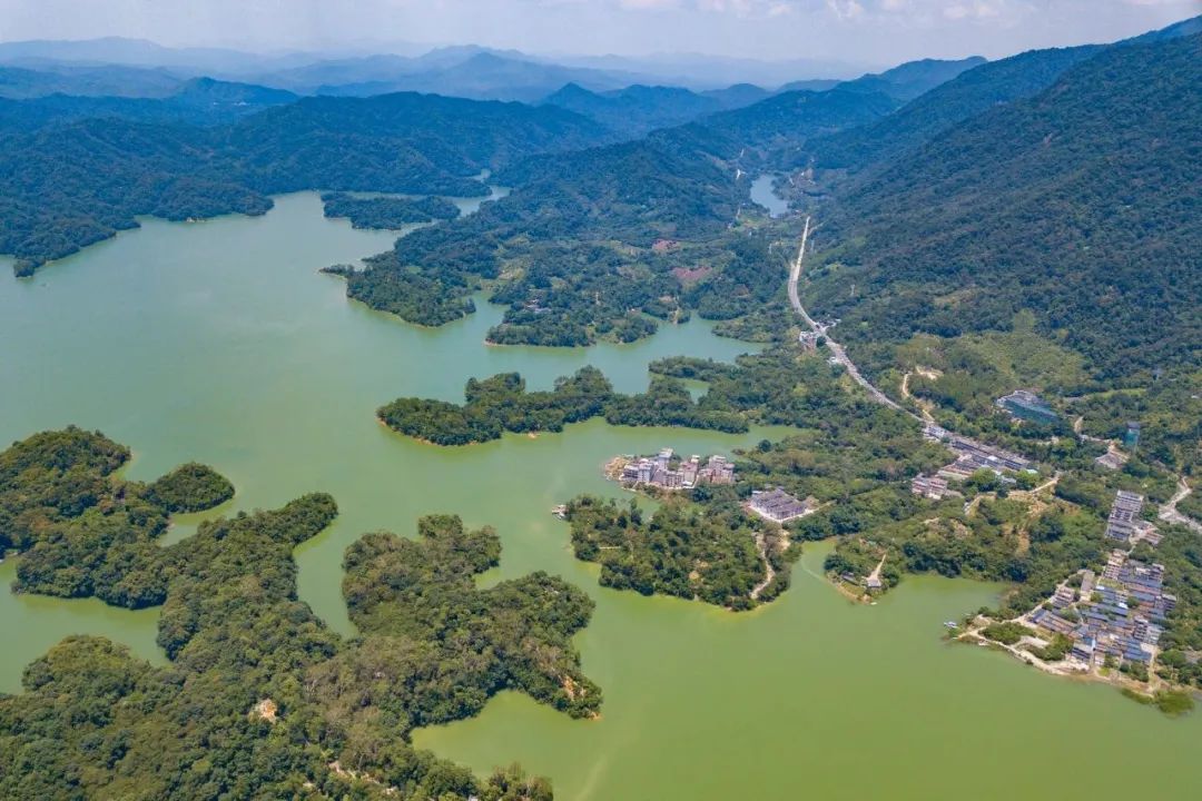 深圳六一儿童节免费活动室内,六一儿童节公园免票