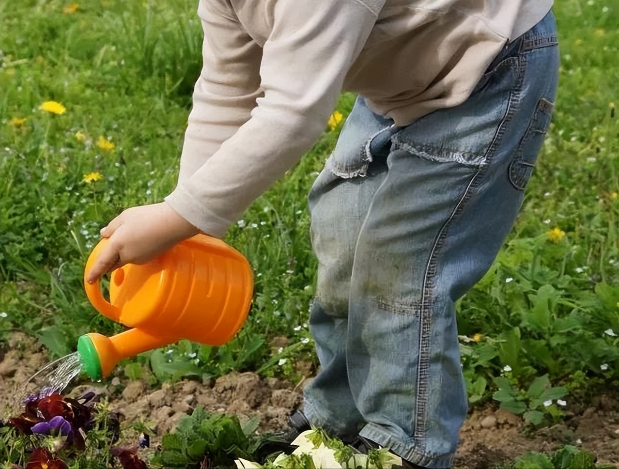 宝宝喜欢玩水是刻板行为吗,孩子为何爱玩水