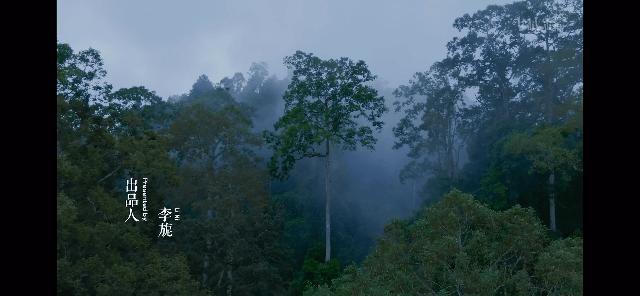 百万粉丝女网红“吃播”后被封杀,网友怒了:别让孩子毁于无知