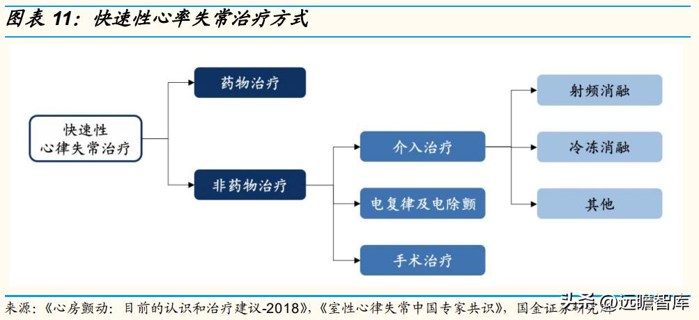专注电生理介入诊疗，微电生理：市场高速成长，国产替代空间巨大
