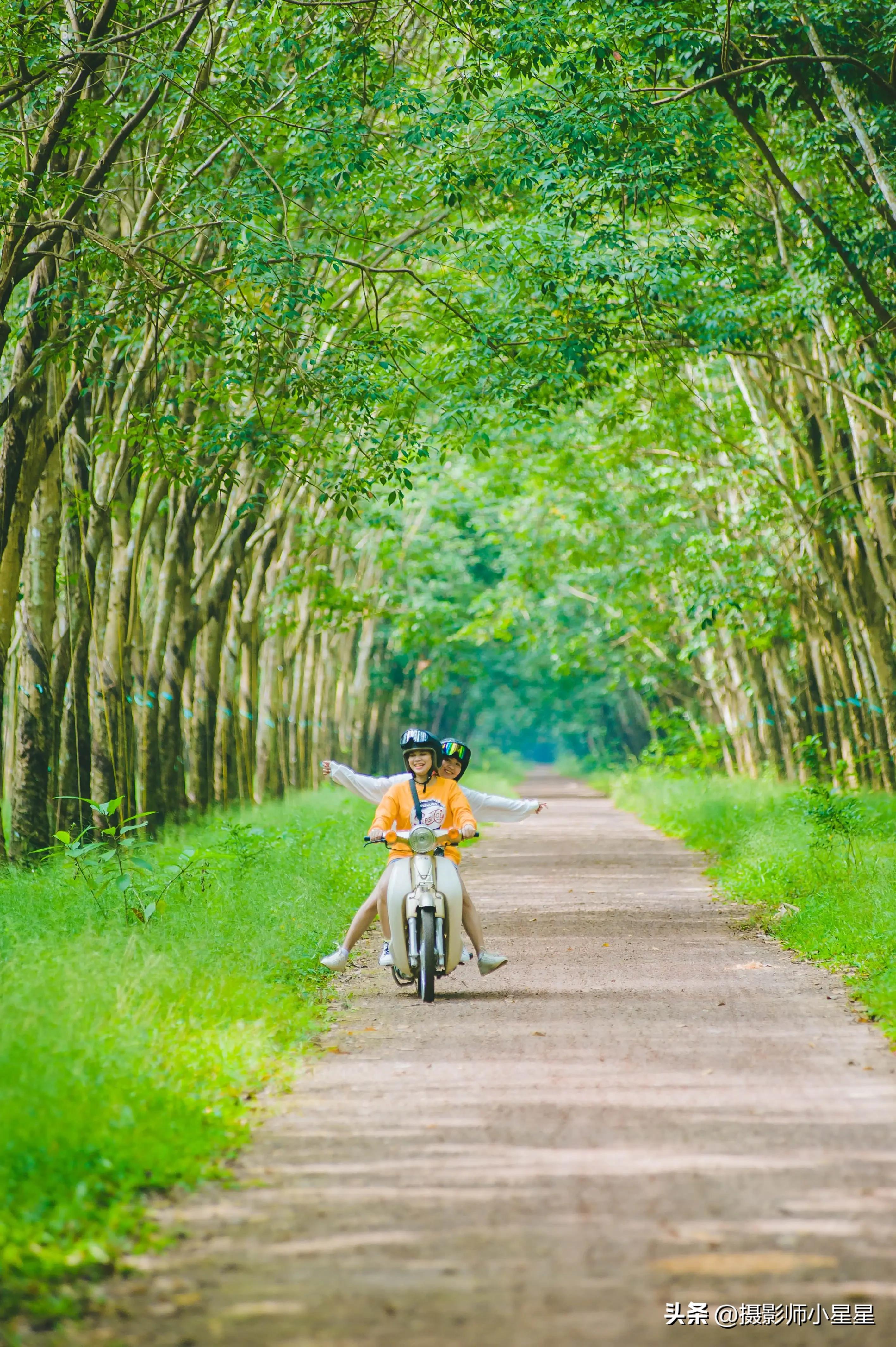 夏天绿色之美,夏天的绿色之美