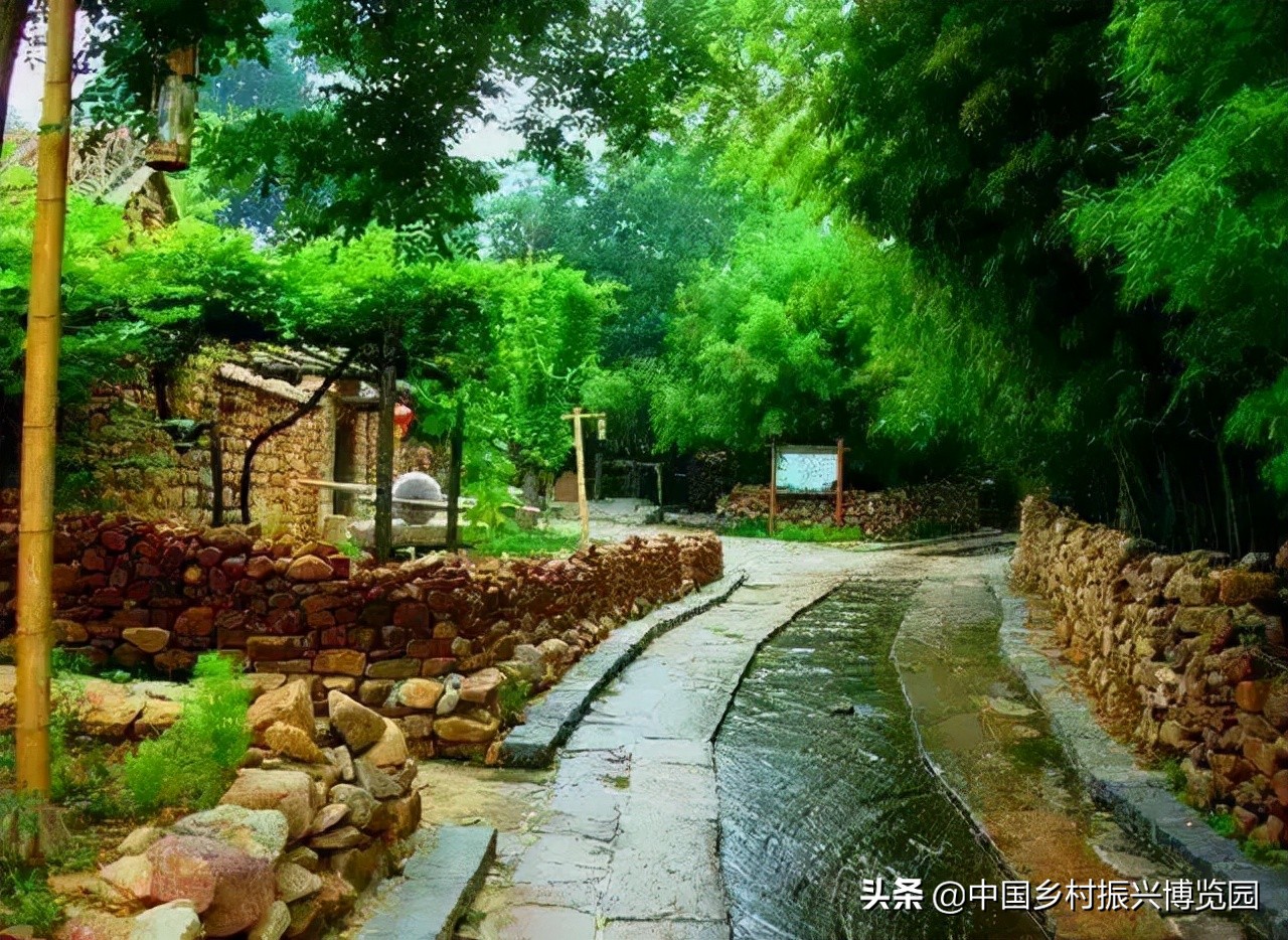 全国高校乡村振兴活动案例,乡村振兴巾帼行动优秀案例