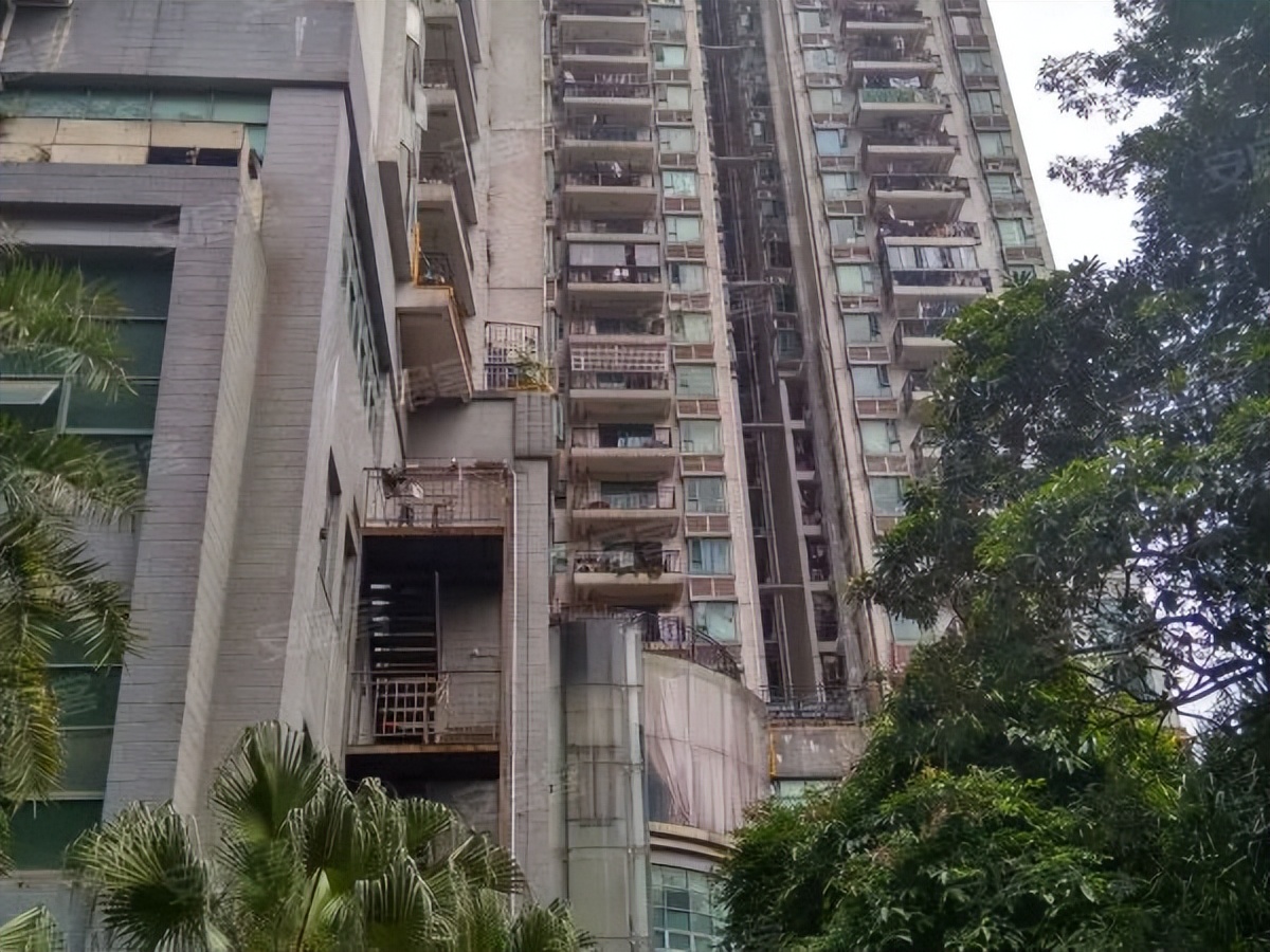 粤剧、醒狮、武术、科技……TA有39个宝藏社团？