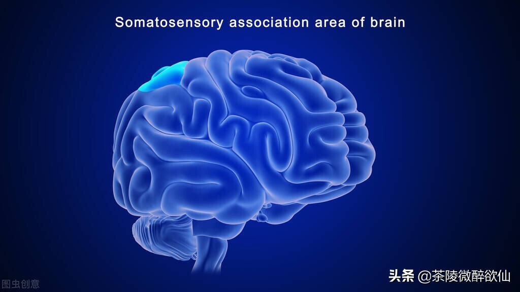 白酒喝了为什么会失忆断片,喝酒断片失忆真实存在吗