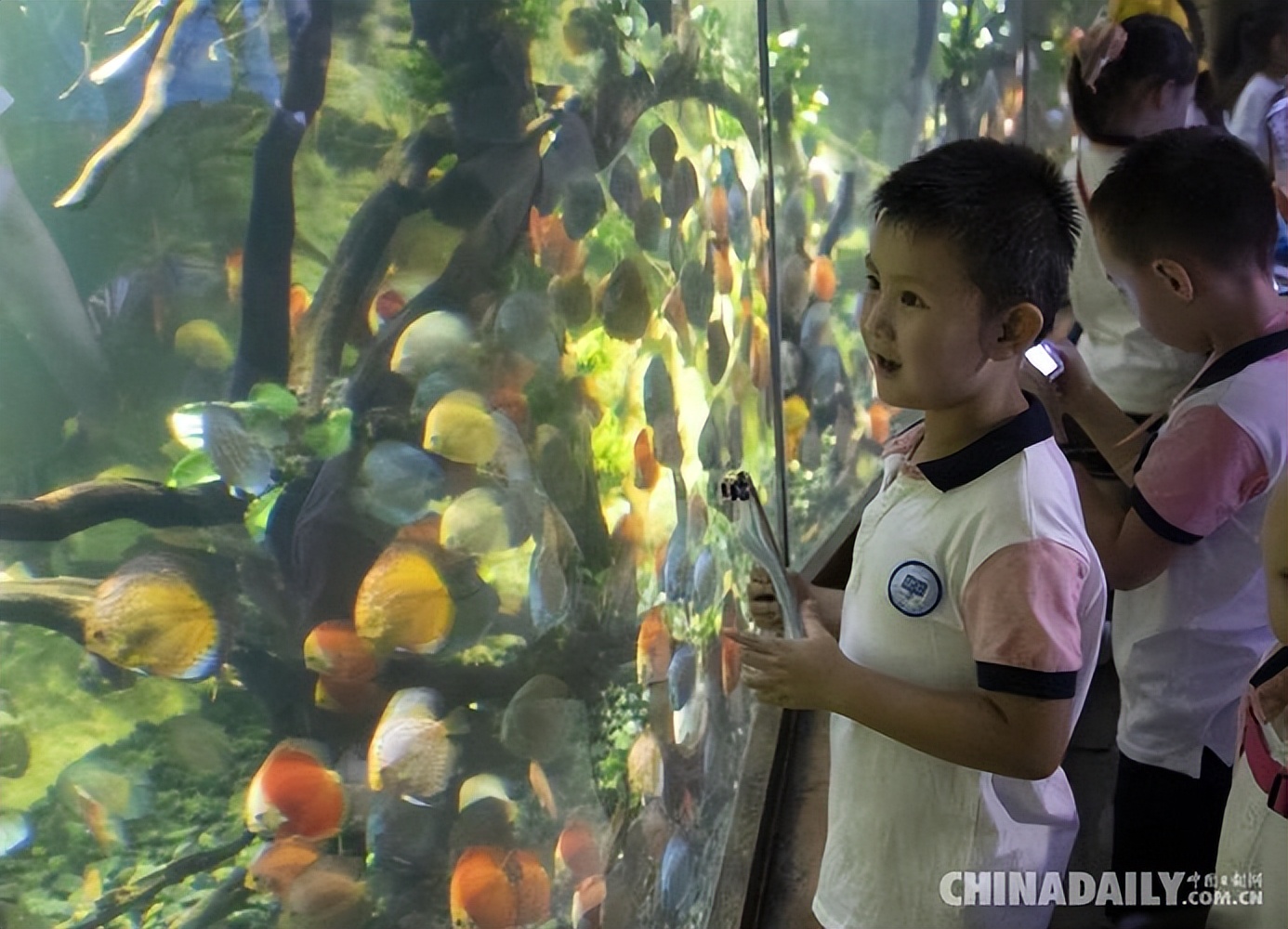 北京适合带孩子去的海洋馆,北京海洋馆亲子游