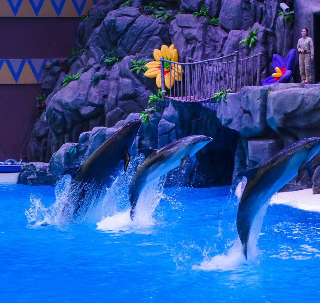 珠海旅游十大景点攻略,珠海旅游攻略一日游景点推荐