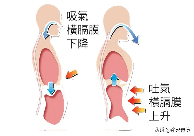 腹式呼吸前如何调理,腹式呼吸法属于哪种治疗方法