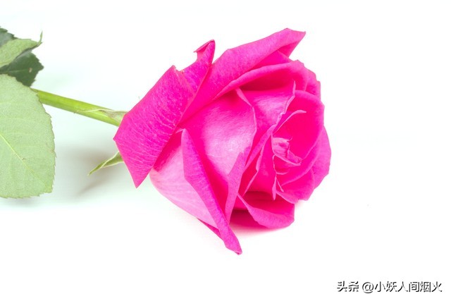 盘点九大私密整形手术,国内私密整形乱象