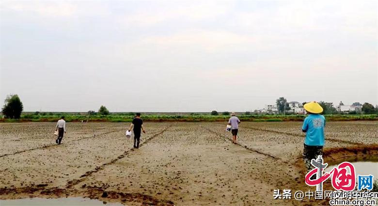 特色种植助农奔小康,瓜果飘香迎收获特色种植助农增收