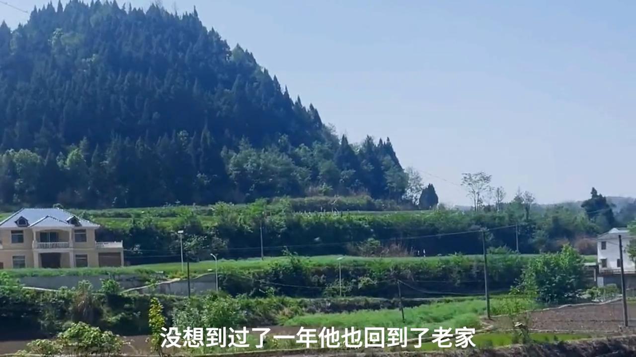 离婚后才明白前夫之前依赖家里,离婚后醒悟