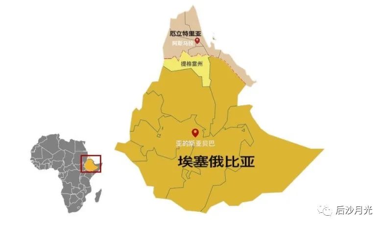 毛选的传奇,一部毛选打天下