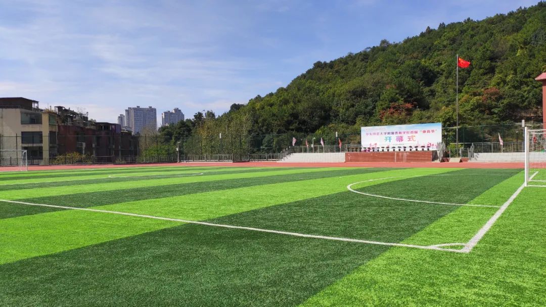 人造草案例|贵州景怡苑东区中小学