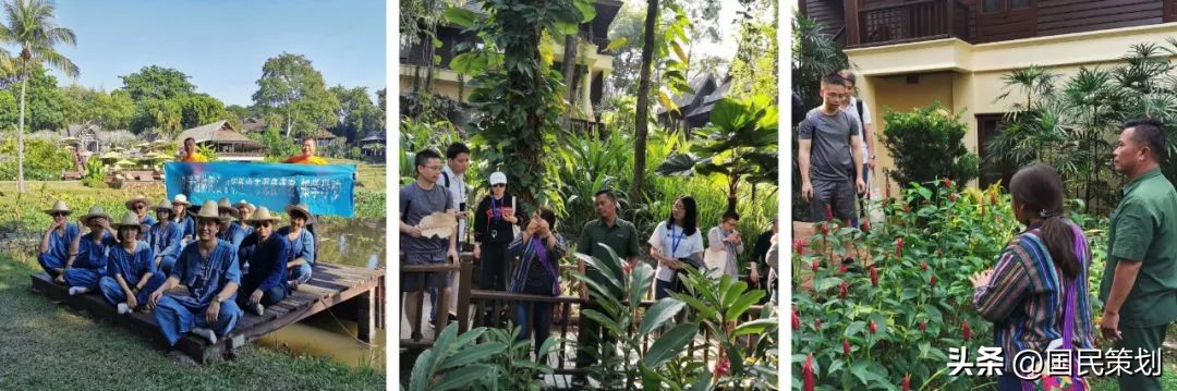 泰国清迈有什么好项目,泰国清迈旅行项目