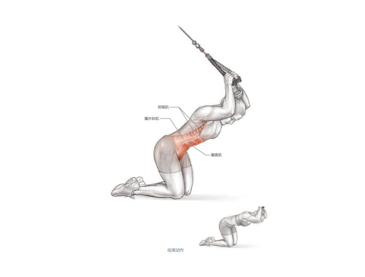 一天就能练出腹肌马甲线的动作,腹肌马甲线练习最佳时间与动作