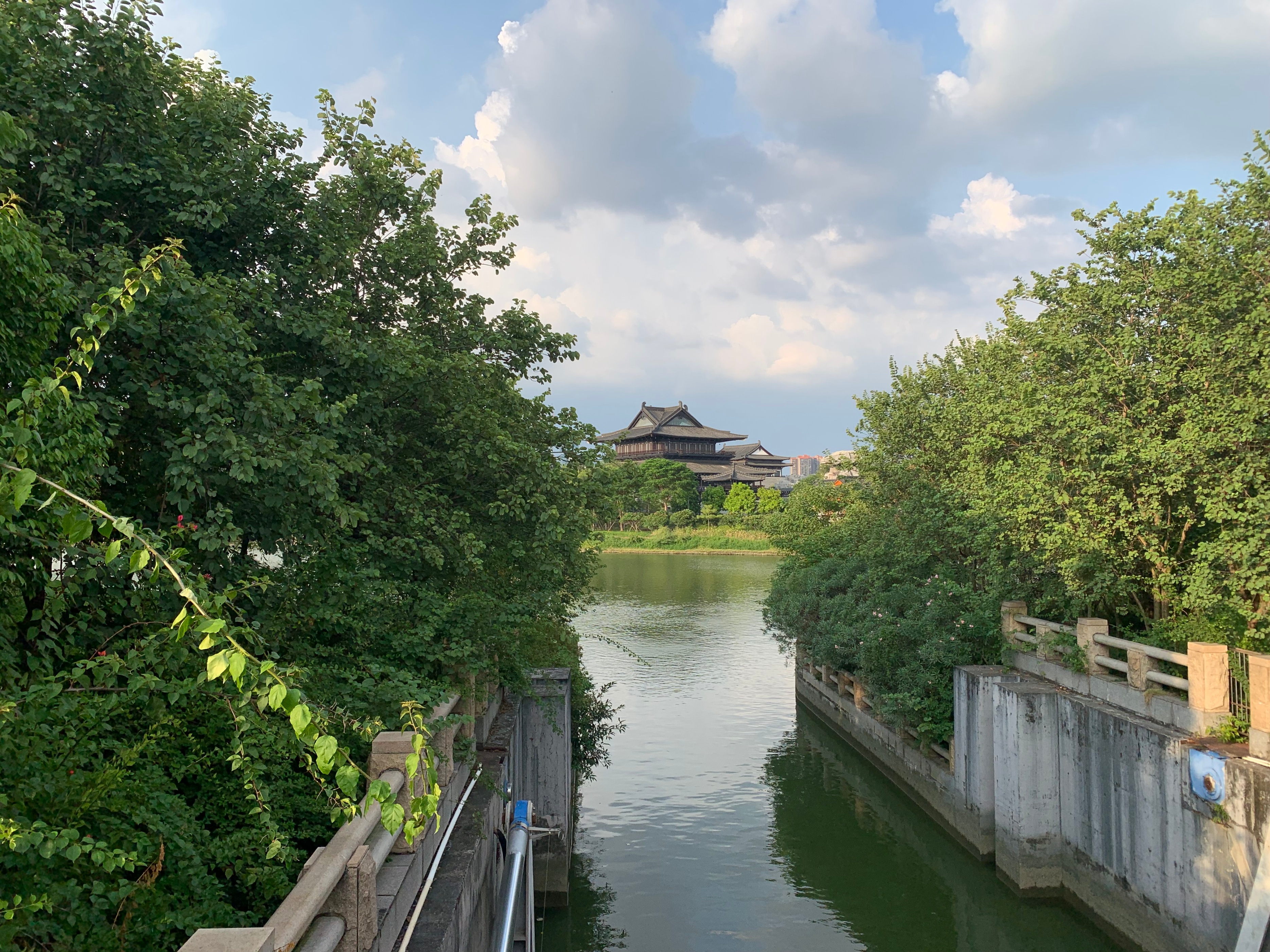 2022海珠湖公园春节游玩,海珠湖湿地公园最佳游玩时间