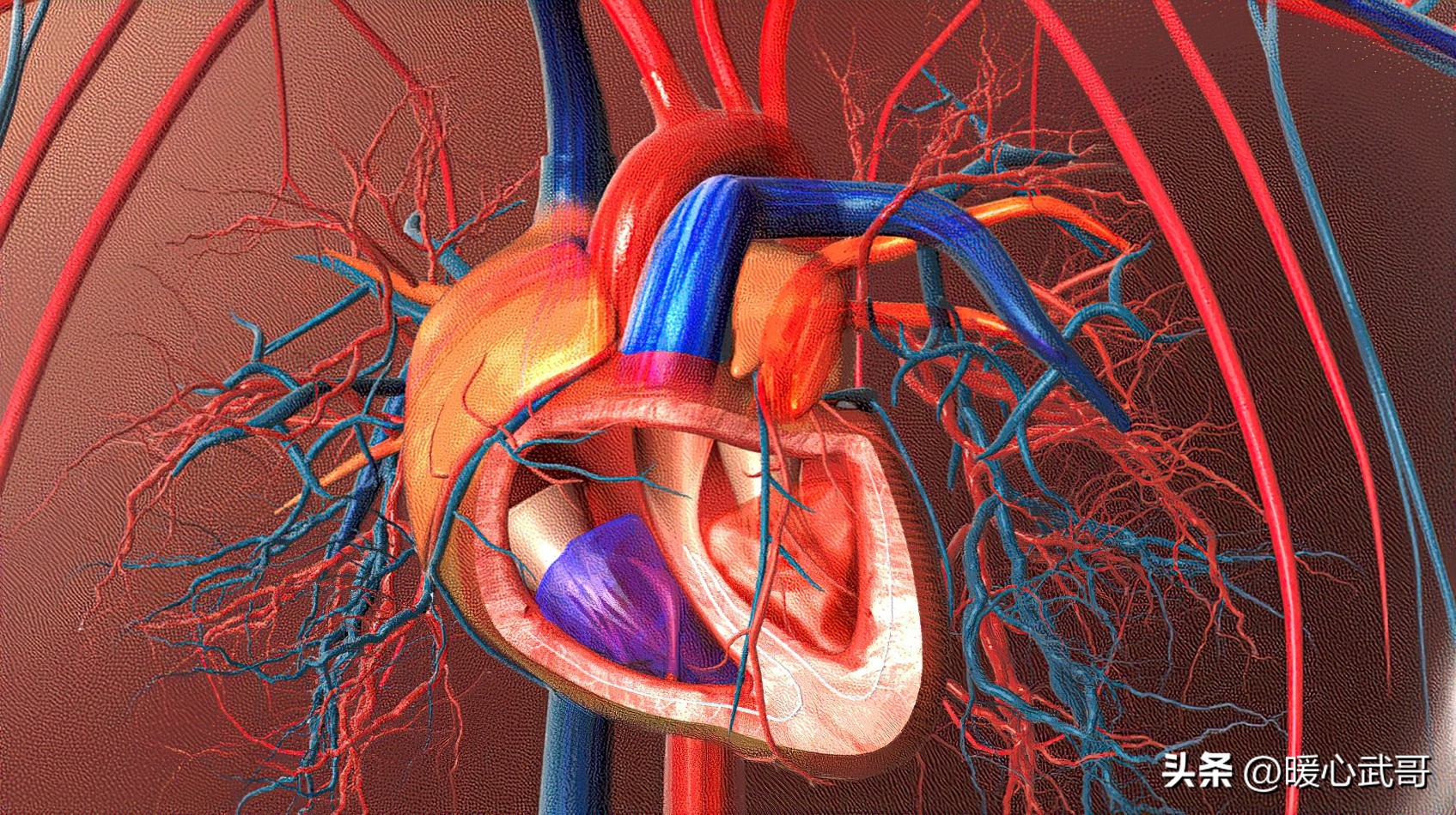 血液不循环手脚冰凉怎么办,如何促进血液循环使手脚不再冰凉