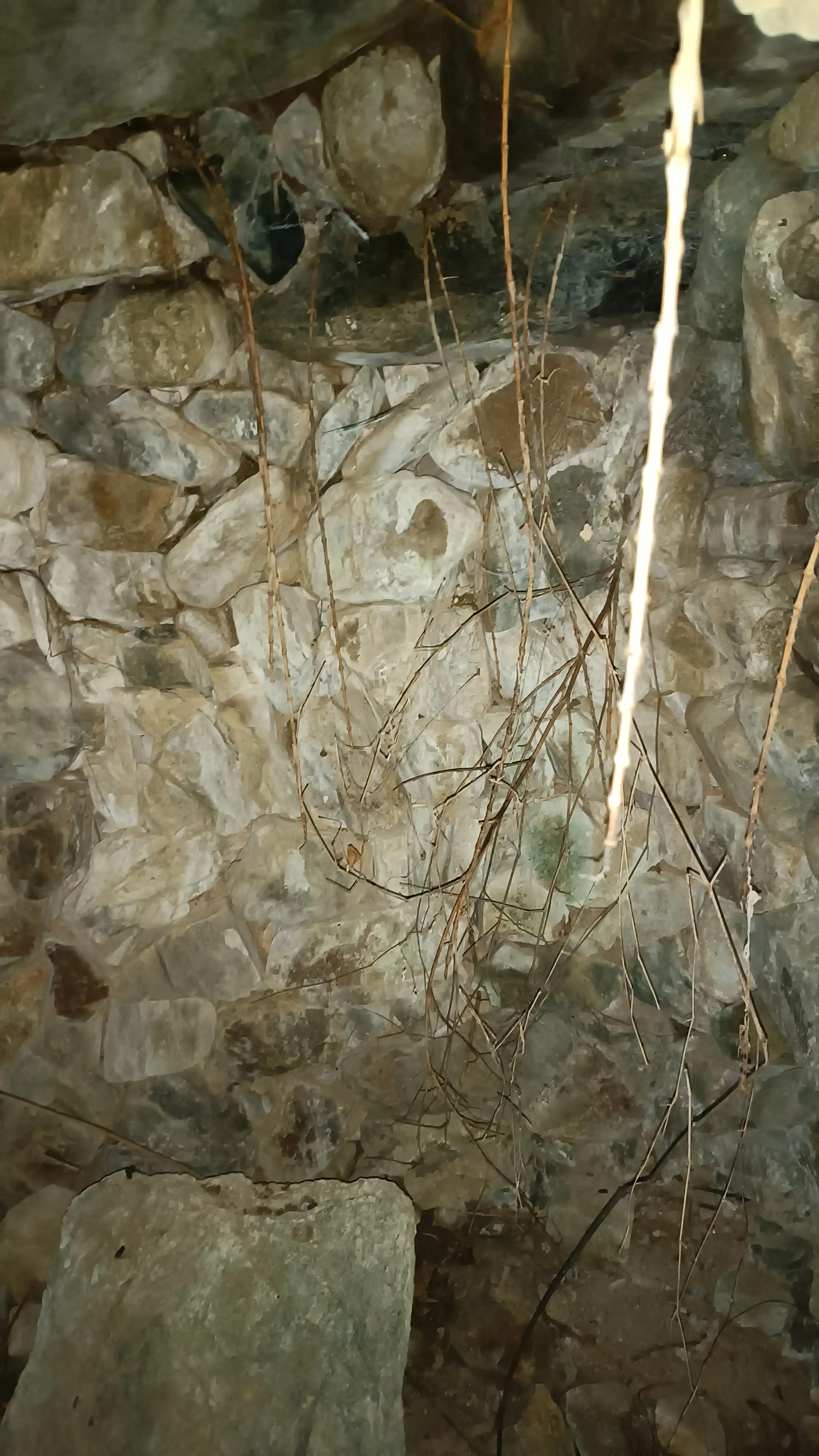 安徽黄山歙县韶坑村,歙县韶坑村民宿照片