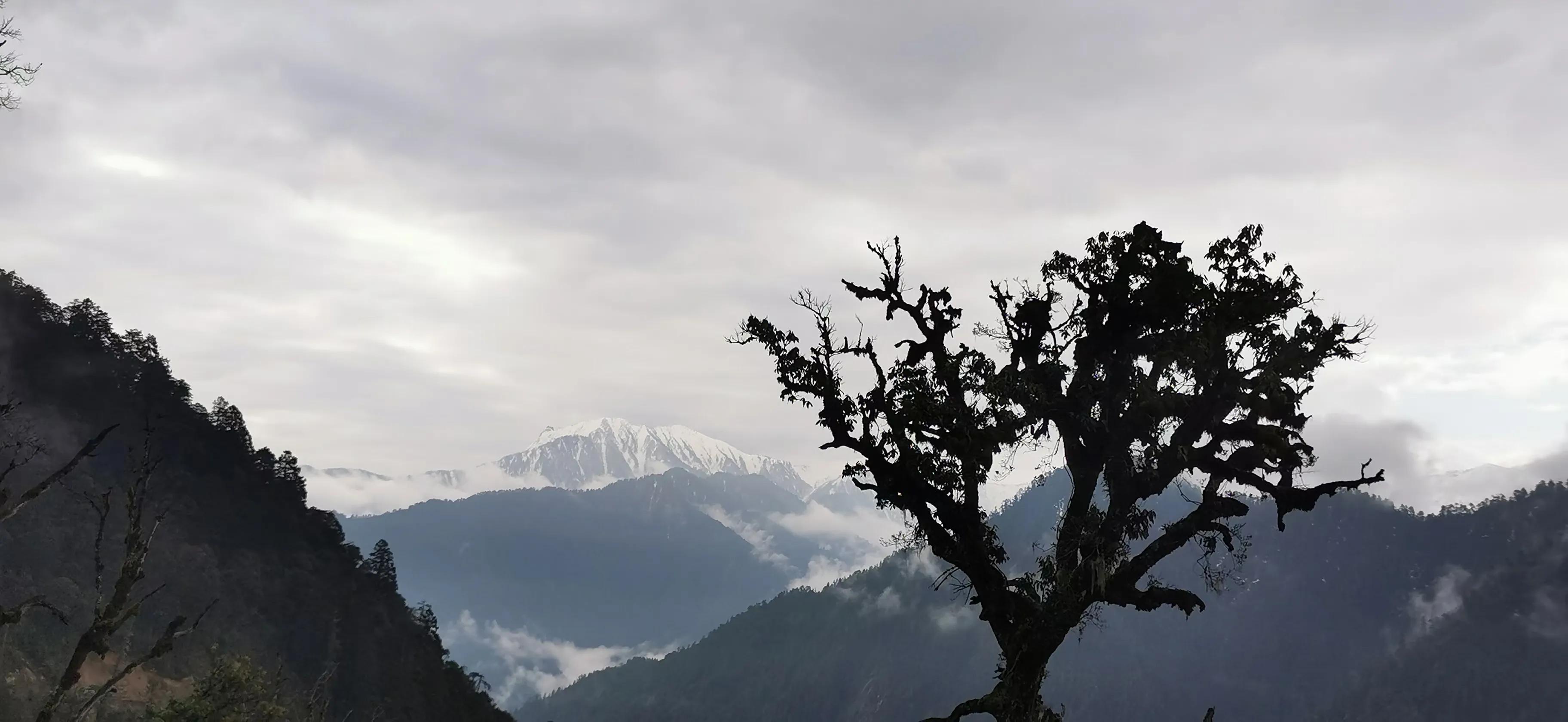 失落的时候也需要有人陪,后来才知道不需要有人陪