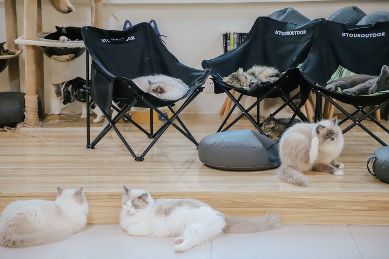 深圳必打卡咖啡馆,深圳罗湖小众咖啡馆