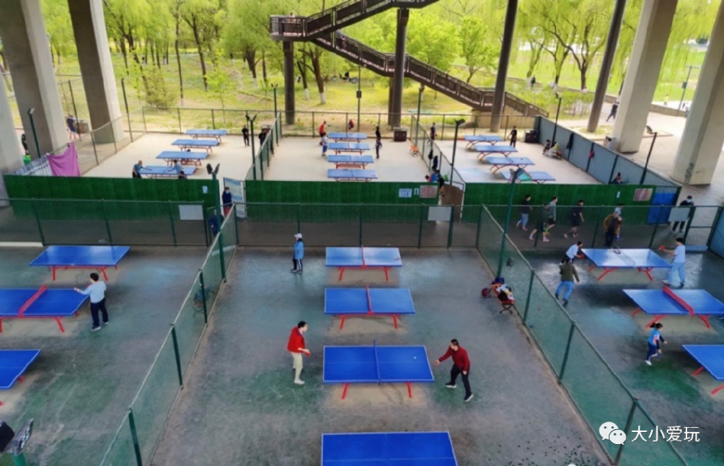 北京赏秋打卡地银杏大道,北京10条最值得打卡赏红叶线路