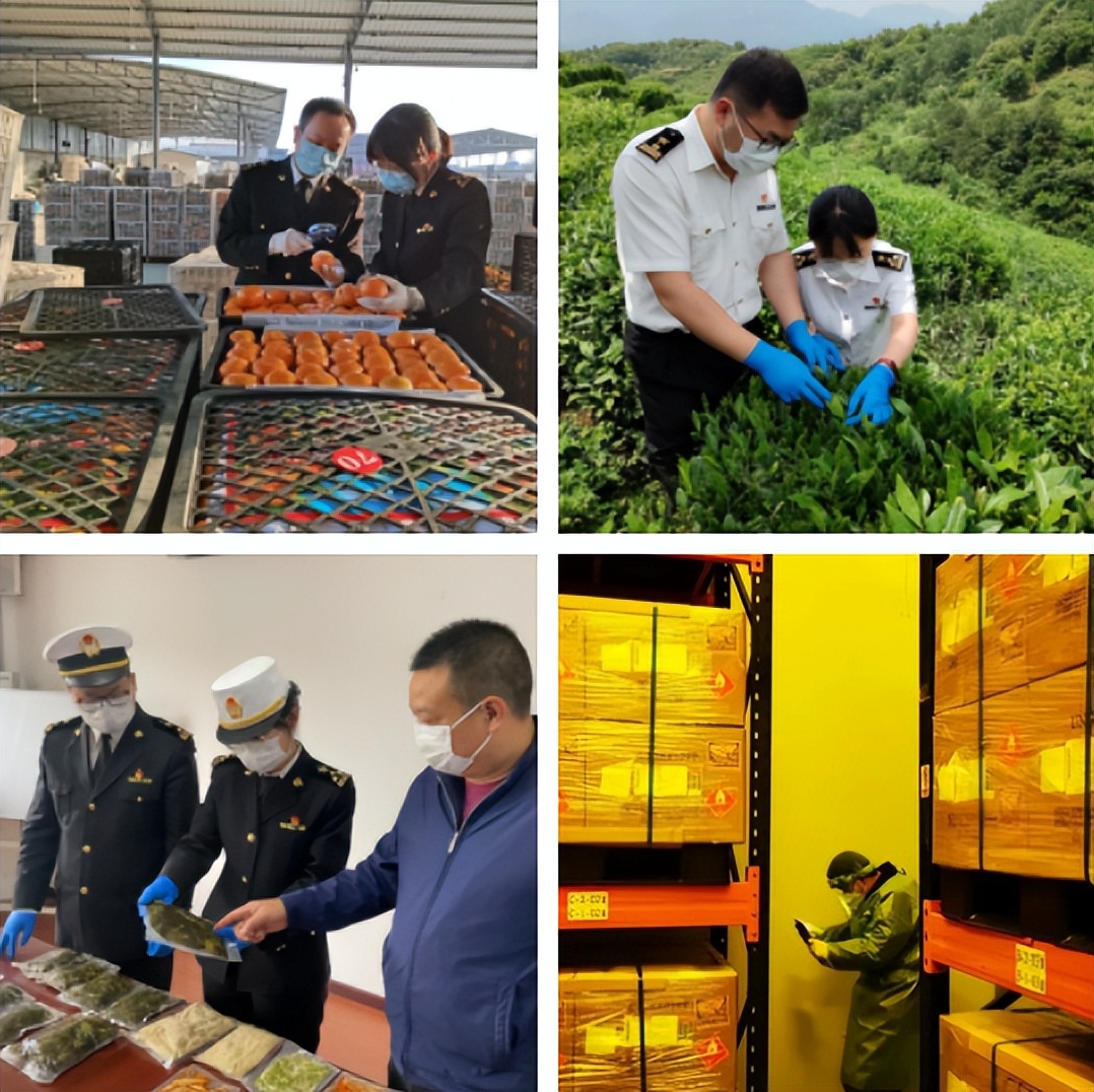 货代报关平台操作流程,货代申报怎么操作