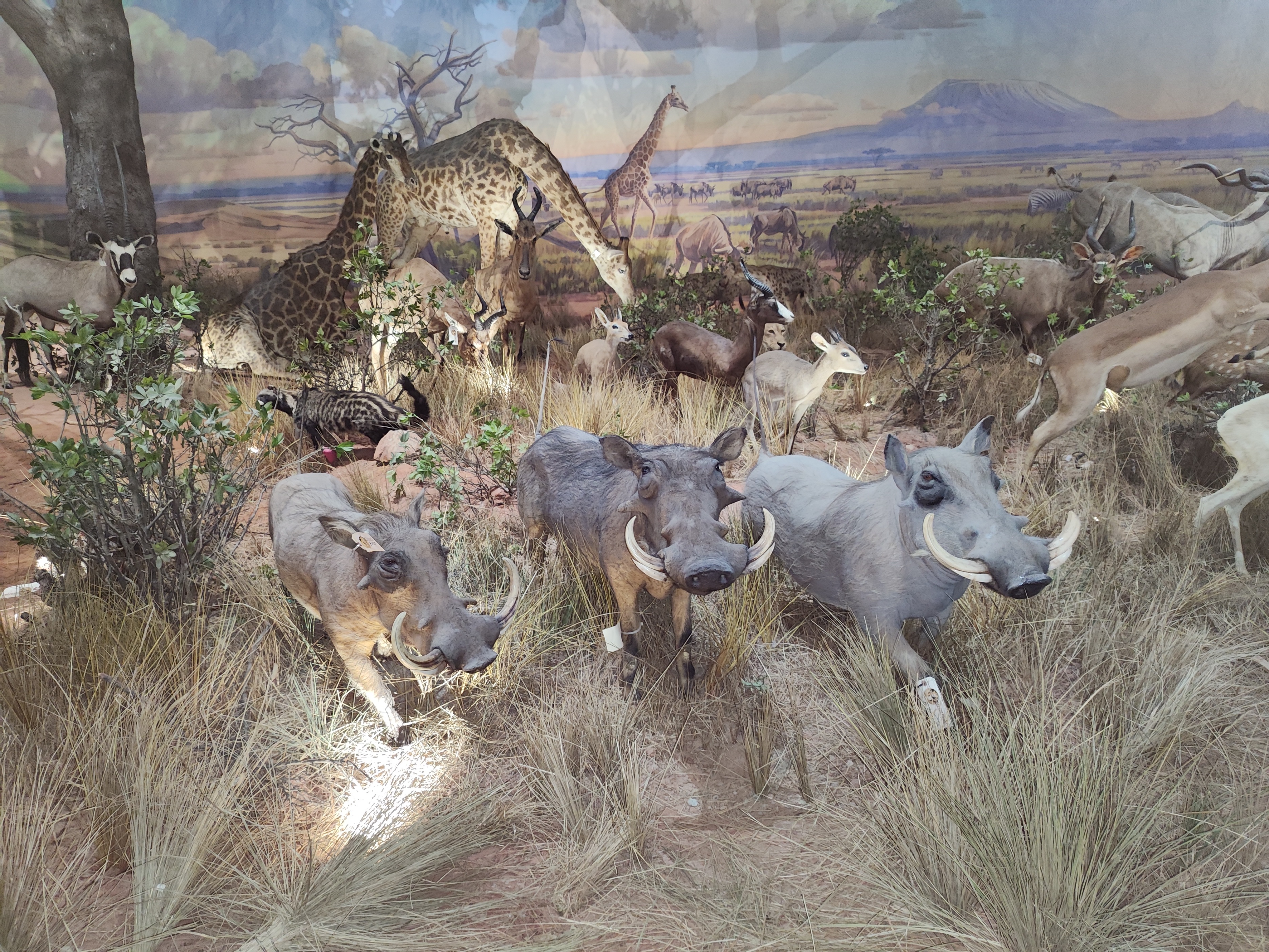 河南科技馆预约攻略详细,河南省科技馆攻略