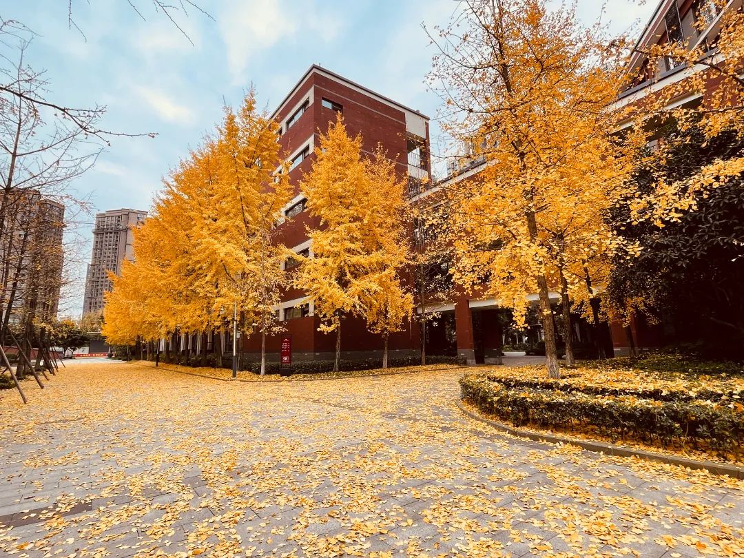 高新区西区小升初摇号入学政策,高新区小升初需要哪些证件