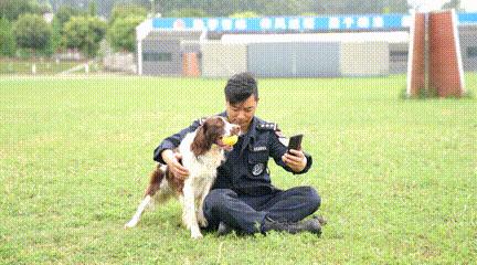 阿尔法日记美白乳,阿尔法的日记