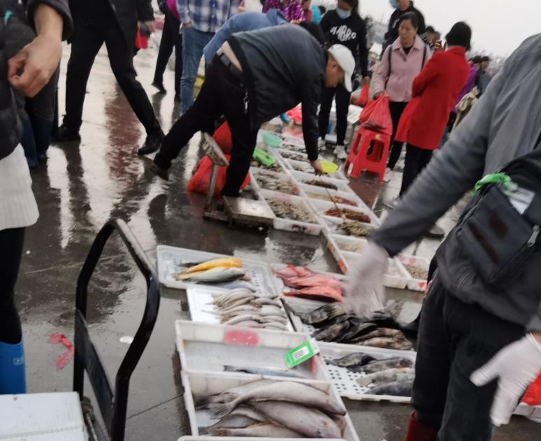 北海哪个码头的海鲜又多又便宜,来北海吃海鲜新鲜又便宜