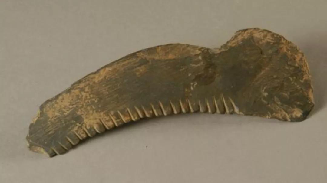 鲁班发明出锯子的故事,锯子真的是鲁班发明的吗