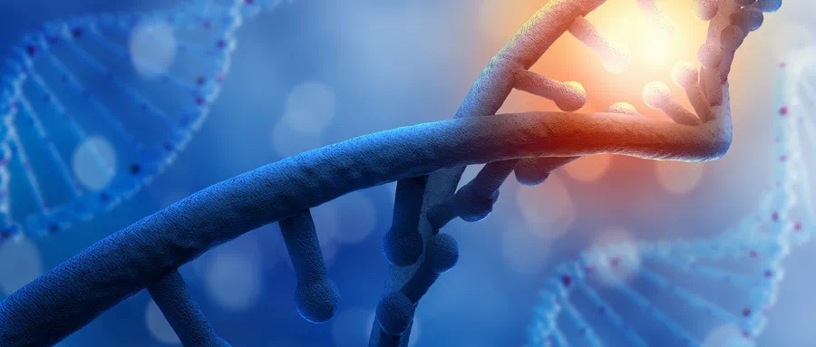 乳腺原位癌是什么？和浸润性癌治疗上有何不同