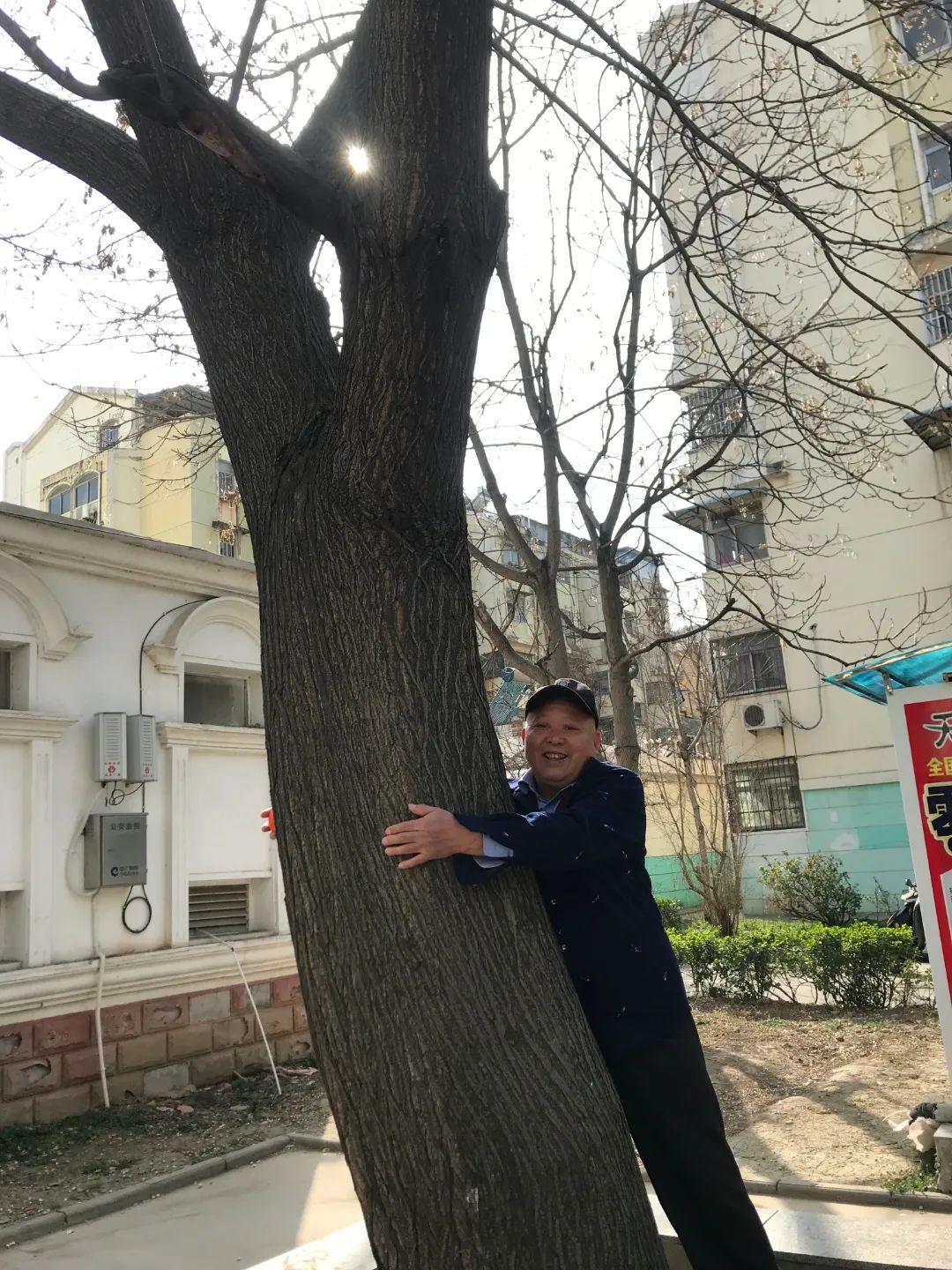 50多年栽了“上万棵”！蚌埠这位“大树爷爷”了不起！