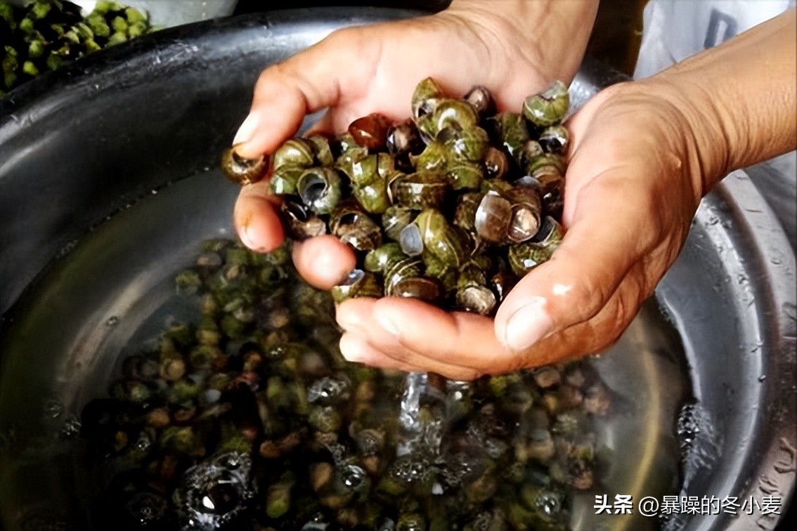 中国夜市小吃必买的十大排行榜,夜市十大名吃