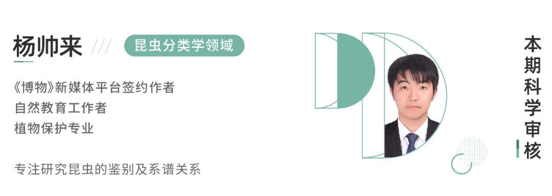 灭蟑神器第一名蟑螂克星测试,测评灭蟑螂神器排名第一