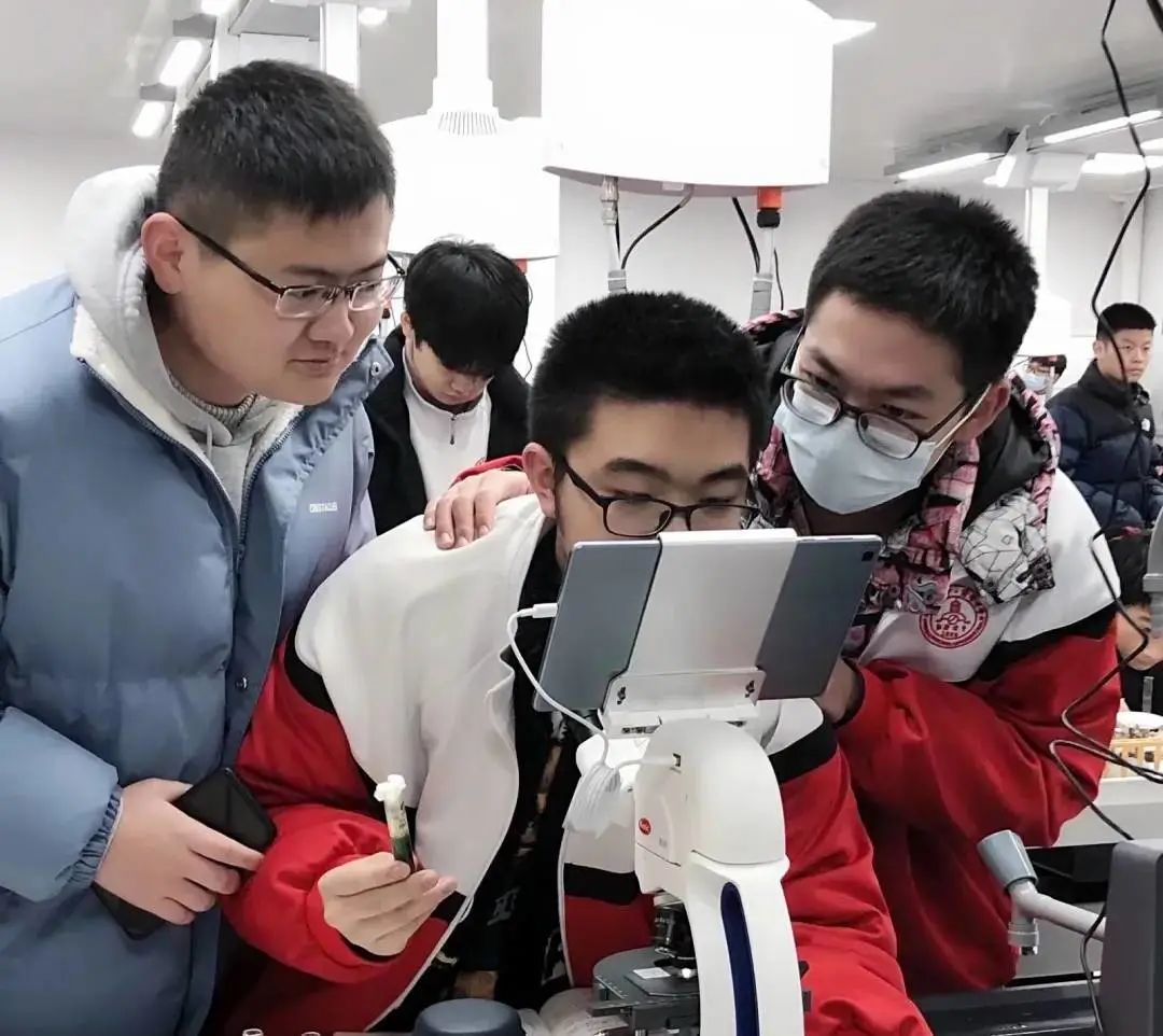 姝︽眽鐧惧勾鍚嶆牎,姝︽眽鐧惧勾楂樹腑