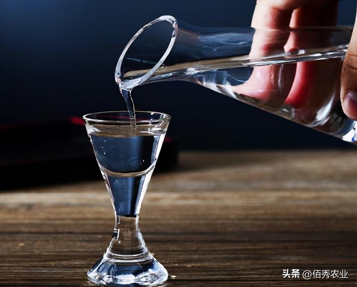 洋河酒天之蓝和梦之蓝哪个贵,洋河梦之蓝与同档次的酒对比