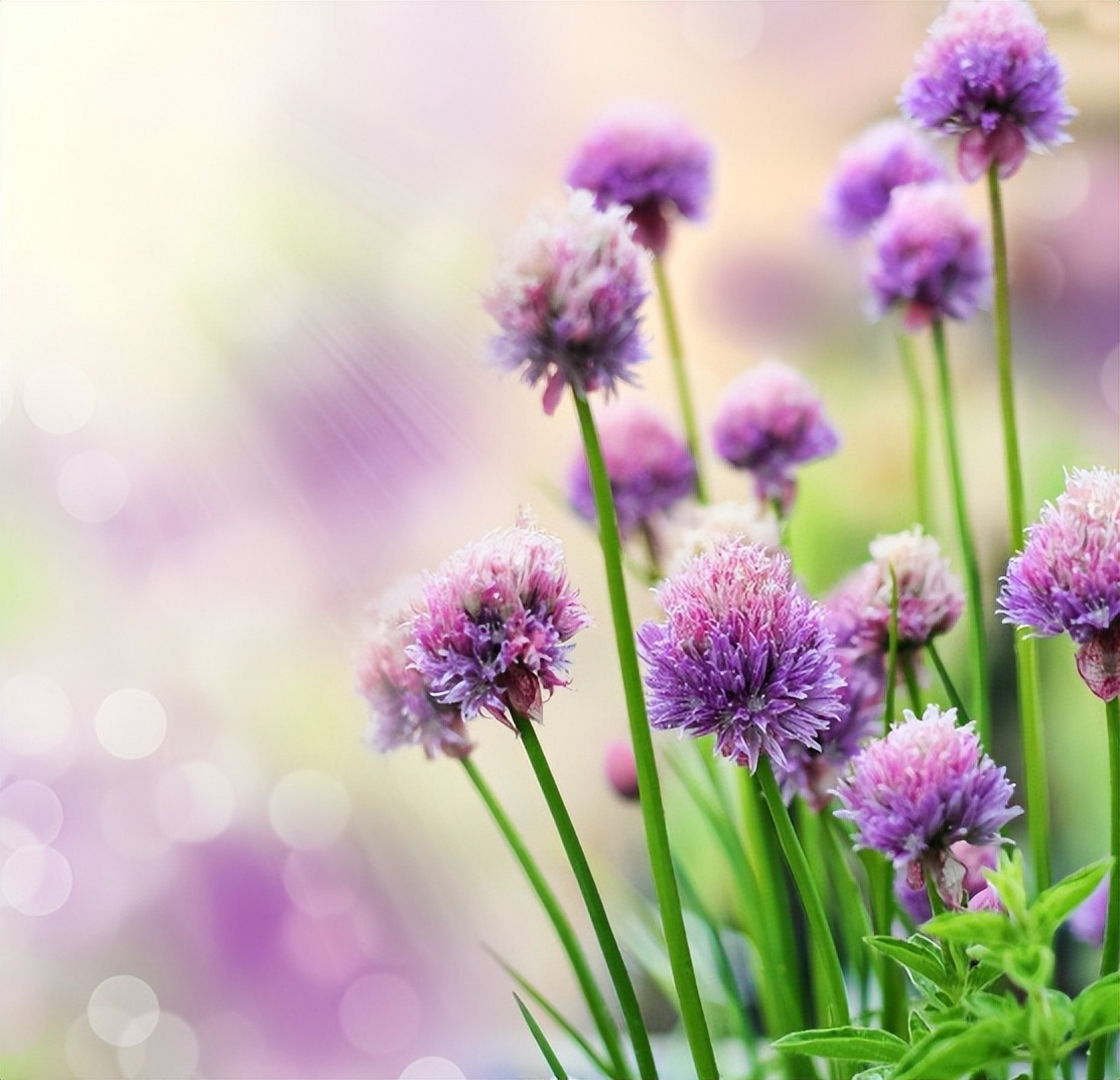 时间过得真快转眼间又一年说说,一天一月一年时间过得好快句子