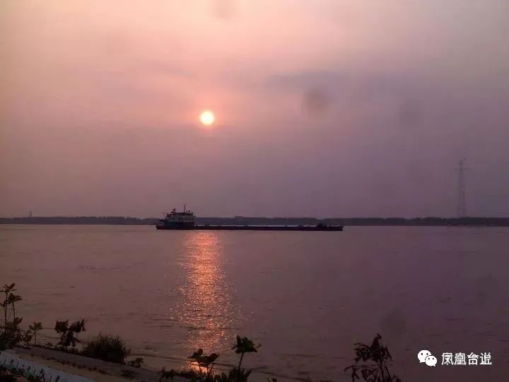 凤凰台上·忆旧｜为了完成除四害任务，中学生冒险过江捉老鼠