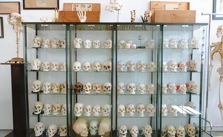 直播卖人骨？22岁美国网红大学生遭网友谴责，家里堆满上百具遗骸