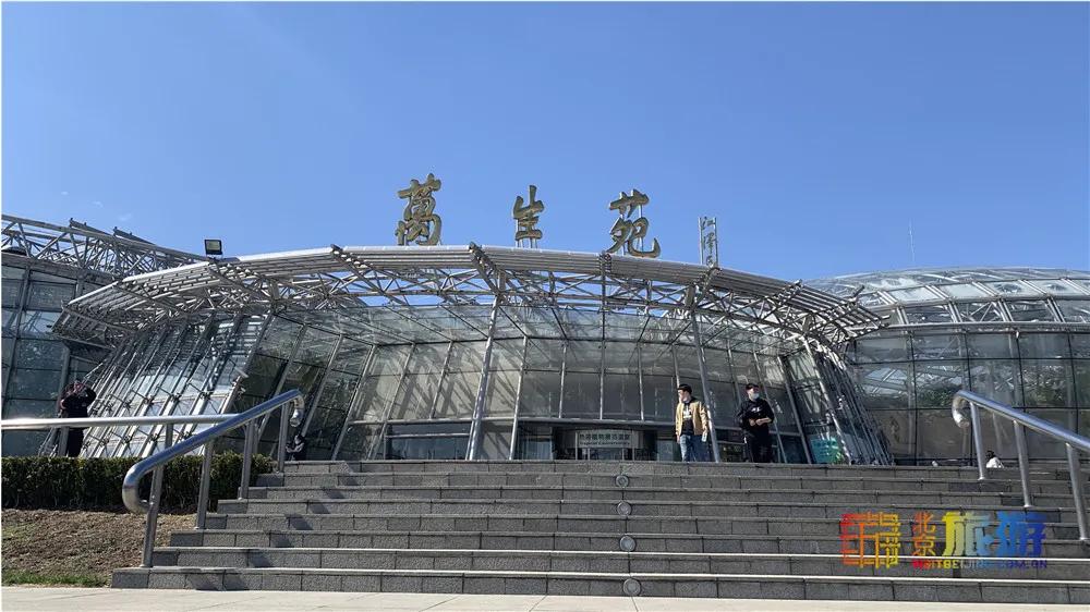 春天北京看花的景点推荐,北京冬天看花的景点推荐