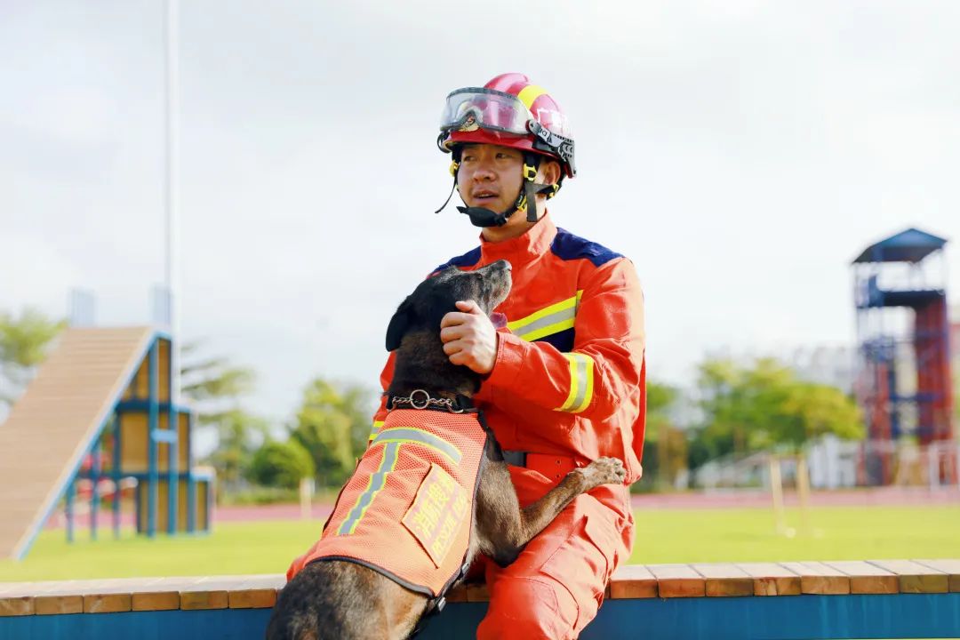 王鹏这个人怎么样,王鹏评价