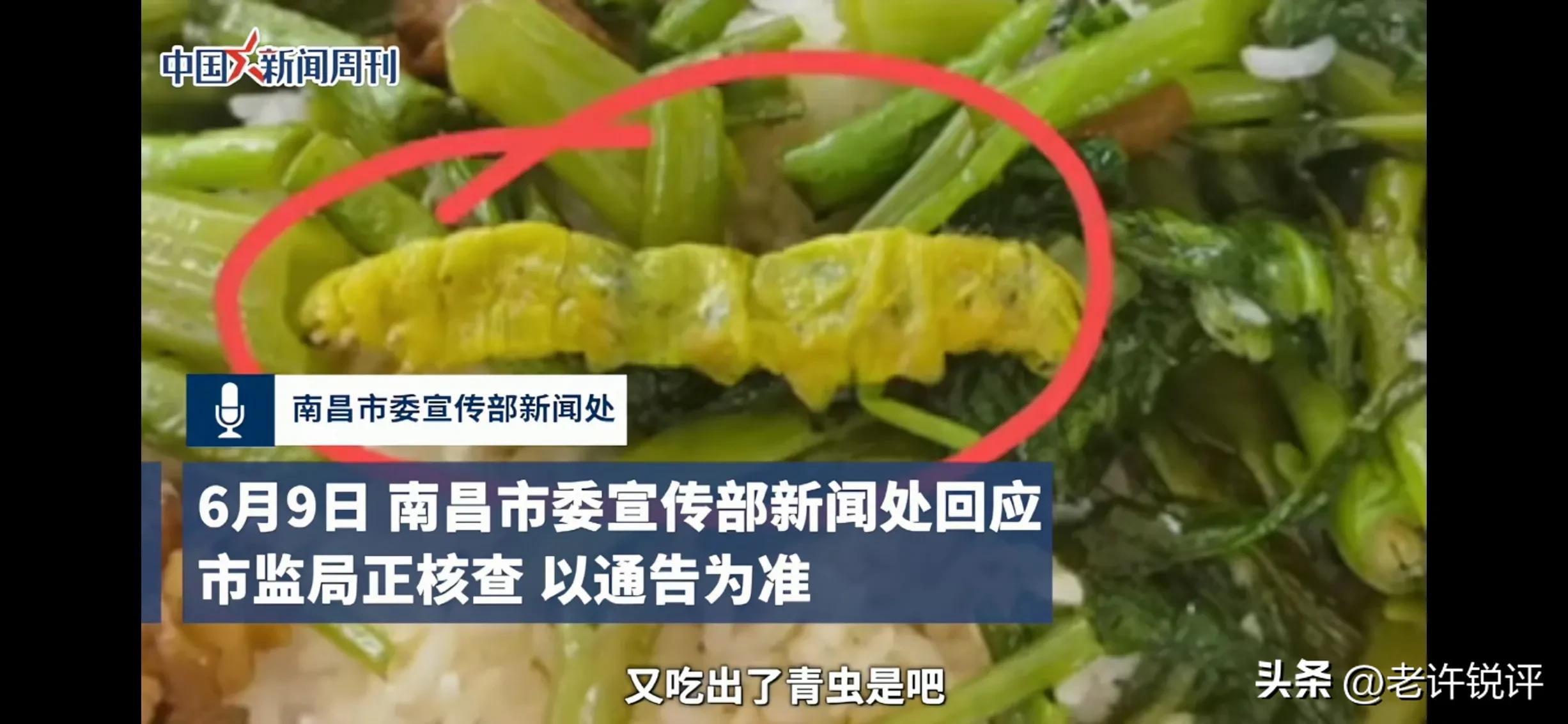 江西发布严查追责,江西省严查追责