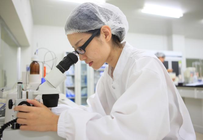 养乐多工厂探秘之旅,养乐多集团总部