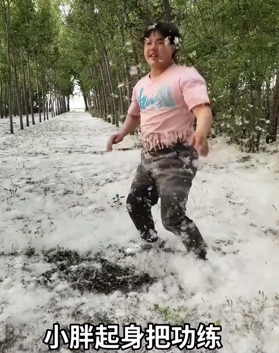 山东小伙靠“三脚猫功夫”走红，获赞乡村洪金宝，网友为啥半服？