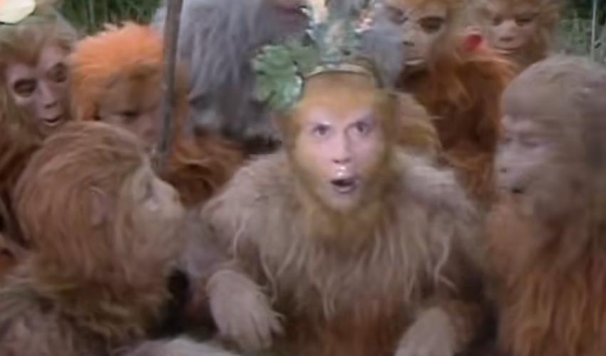 申怡老师演讲视频,申怡老师阅读课